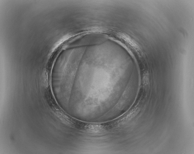 X0000116141310200912071235