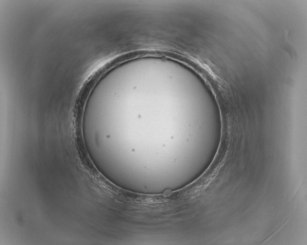 X0000116141311200912071235