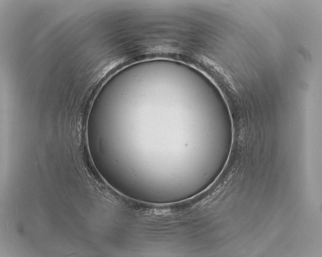 X0000116141313200912071235