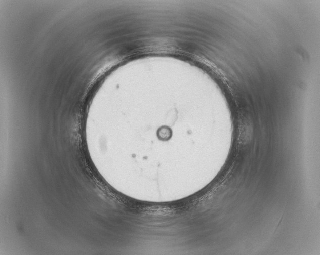 X0000116141314200912071235