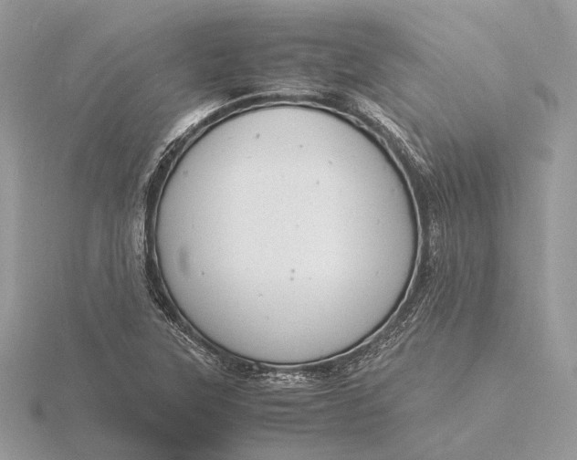 X0000116141315200912071235