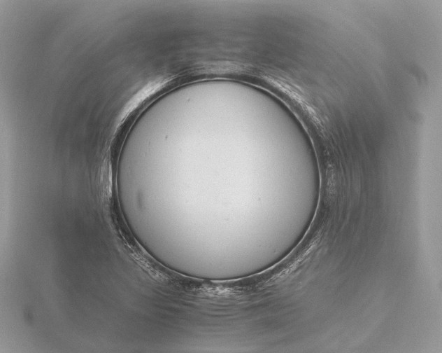 X0000116141317200912071235