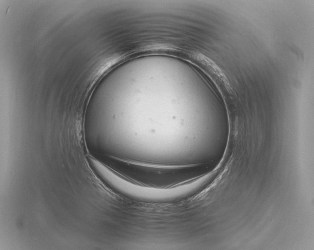 X0000116141321200912071235