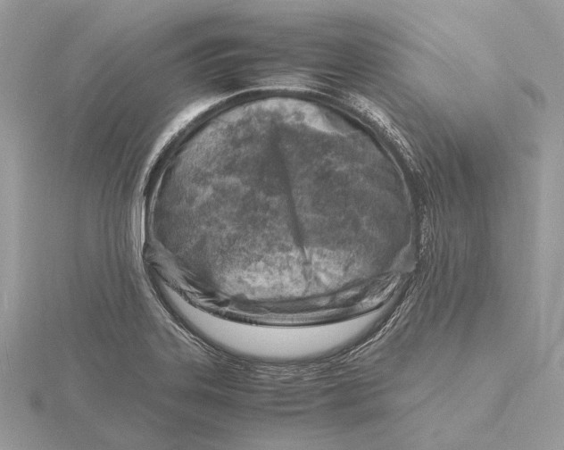 X0000116141323200912071235