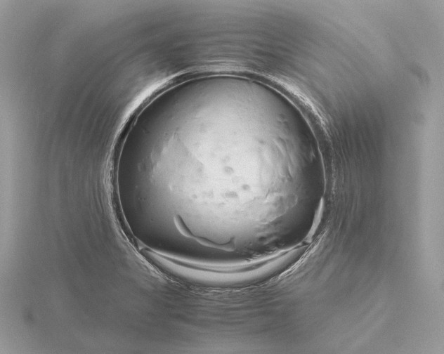 X0000116141325200912071235