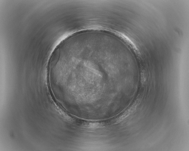 X0000116141326200912071235