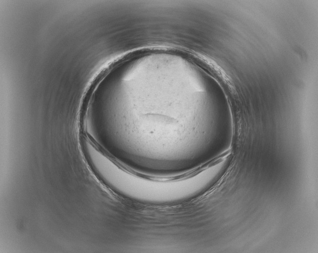 X0000116141327200912071235