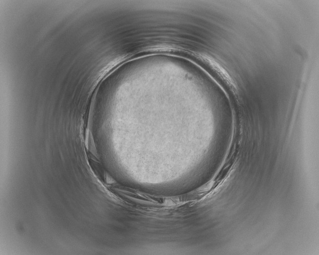 X0000116141329200912071235