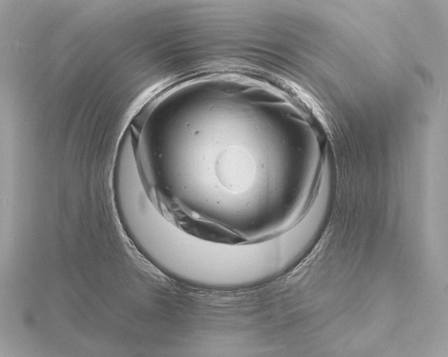 X0000116141330200912071235