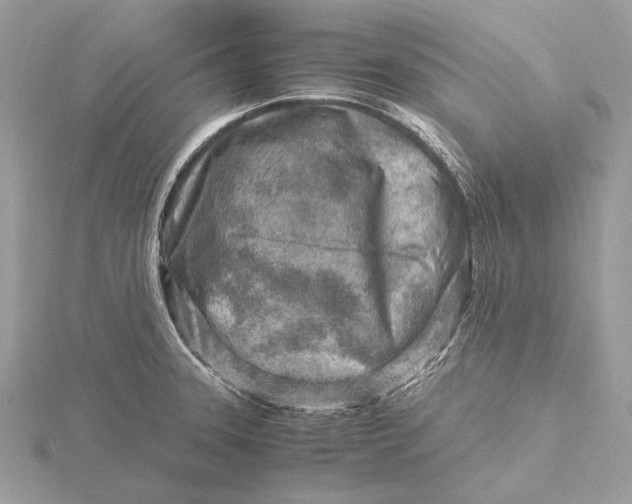 X0000116141331200912071235