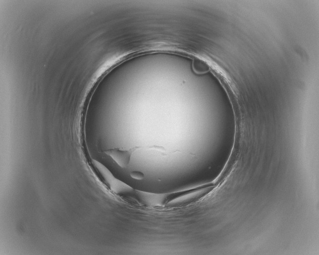 X0000116141333200912071235