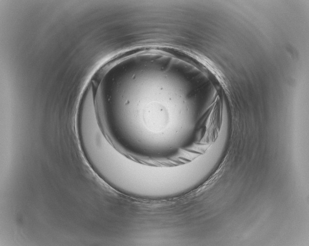 X0000116141334200912071235