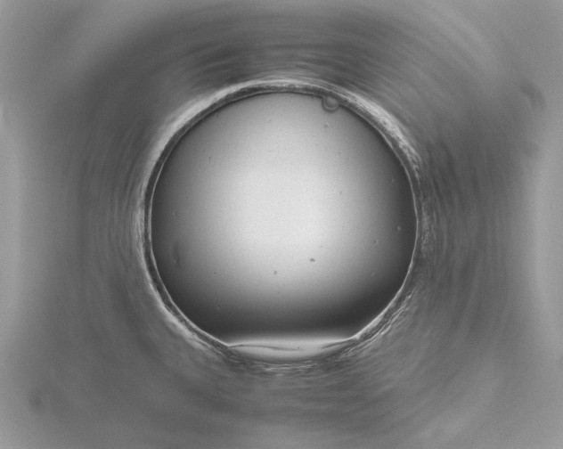 X0000116141335200912071235