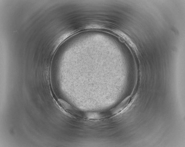 X0000116141337200912071235