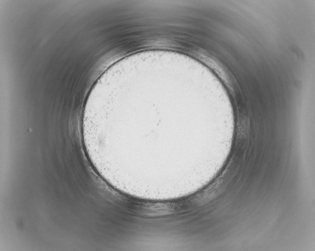 X0000116141338200912071235