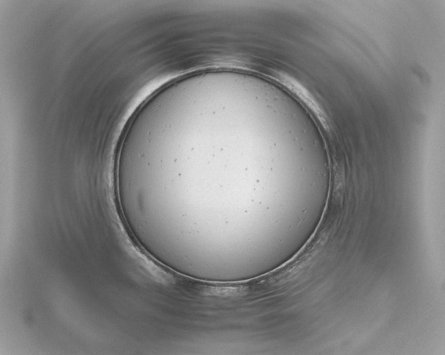 X0000116141339200912071235