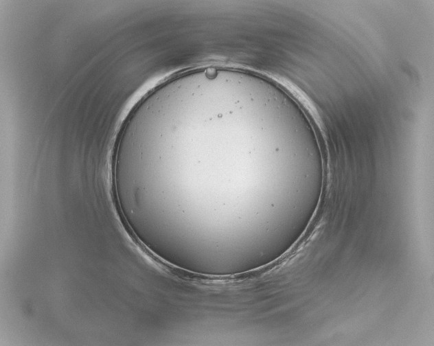 X0000116141341200912071235