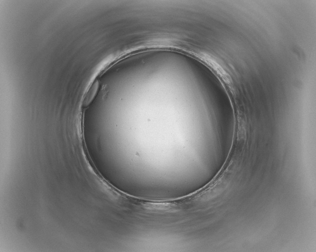 X0000116141342200912071235