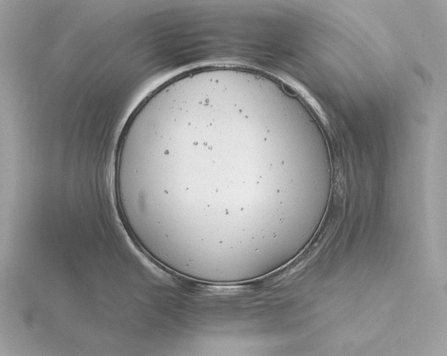 X0000116141343200912071235