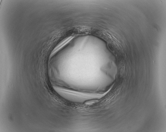 X0000116141345200912071234