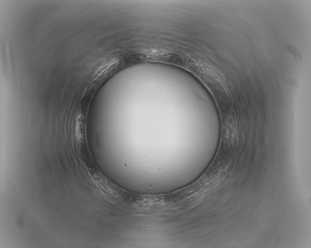 X0000116141346200912071234