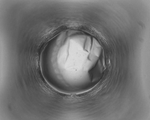 X0000116141348200912071234