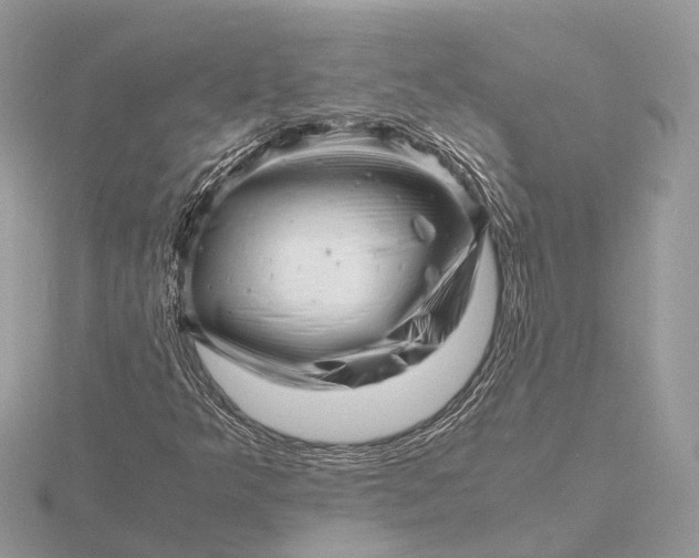 X0000116141349200912071234