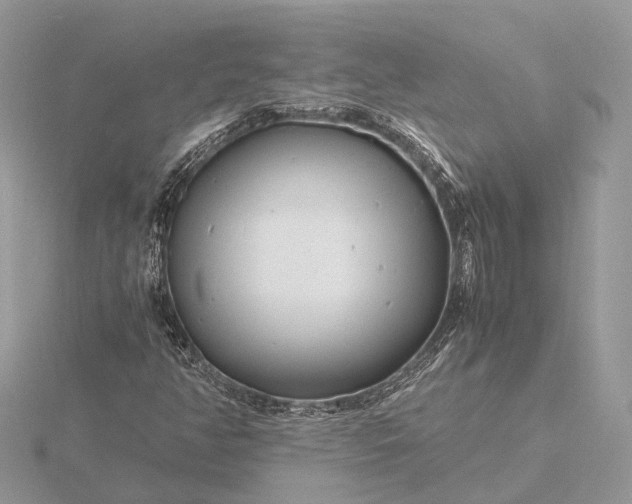 X0000116141350200912071234