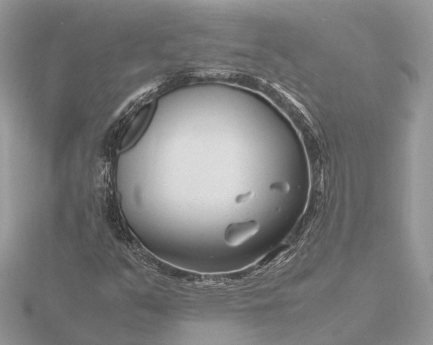 X0000116141351200912071234