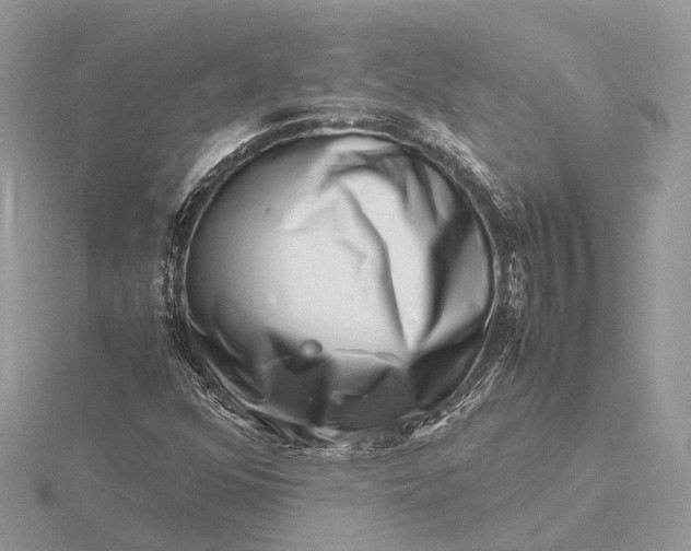 X0000116141352200912071234