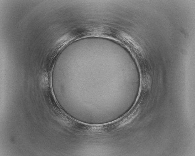 X0000116141353200912071234