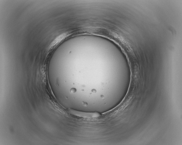 X0000116141354200912071234