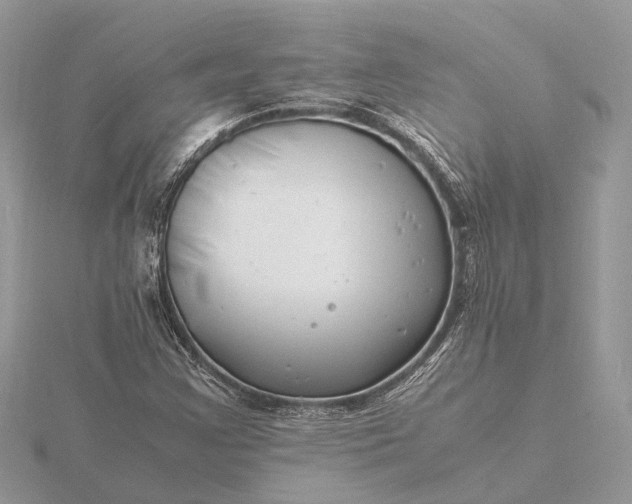 X0000116141355200912071234