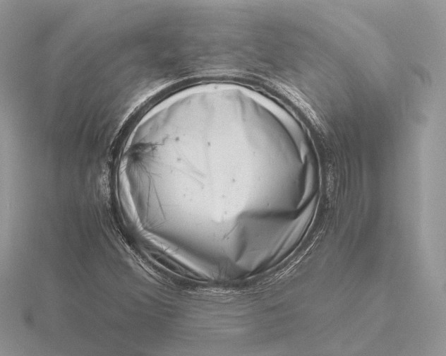 X0000116141356200912071234