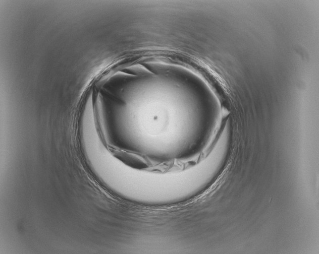 X0000116141357200912071234