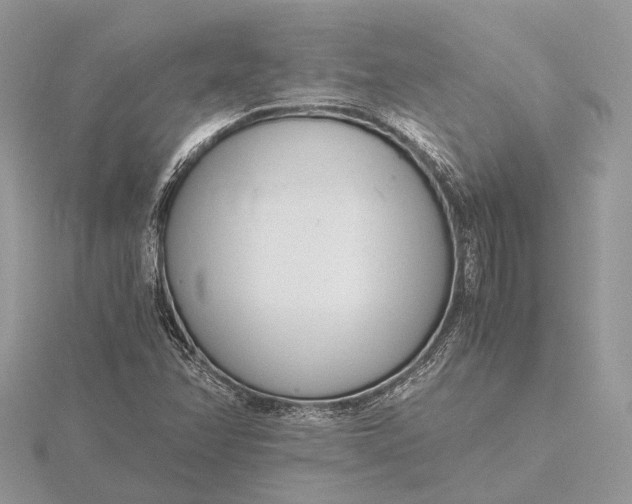 X0000116141358200912071234