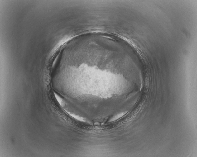 X0000116141359200912071234