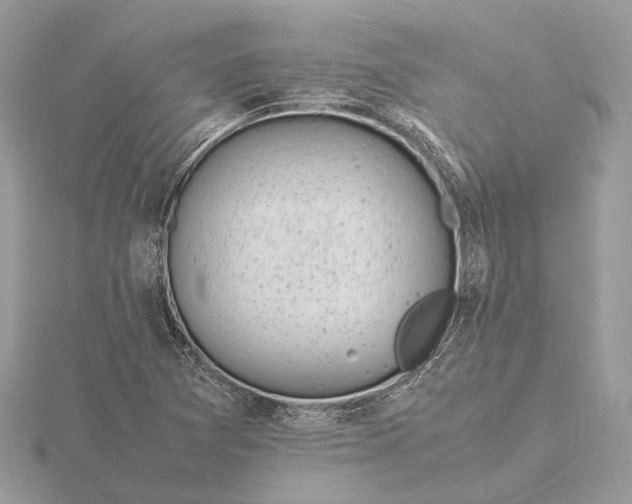 X0000116141361200912071234