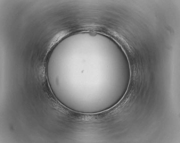 X0000116141362200912071234