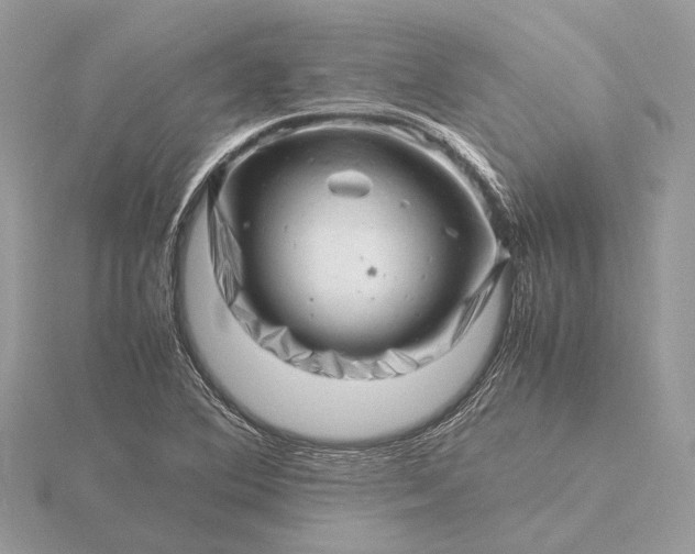 X0000116141364200912071234