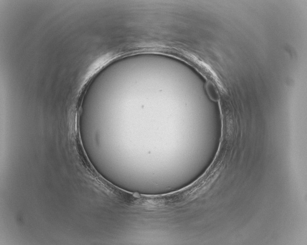 X0000116141365200912071234