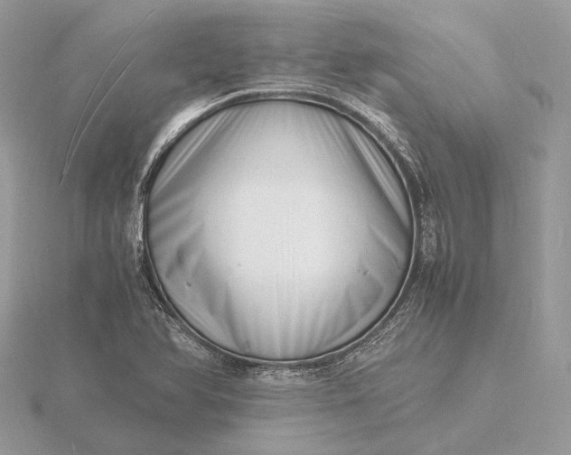 X0000116141366200912071234