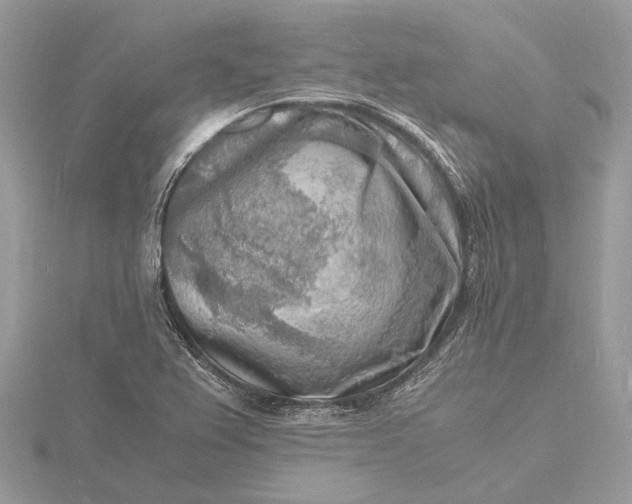 X0000116141367200912071234