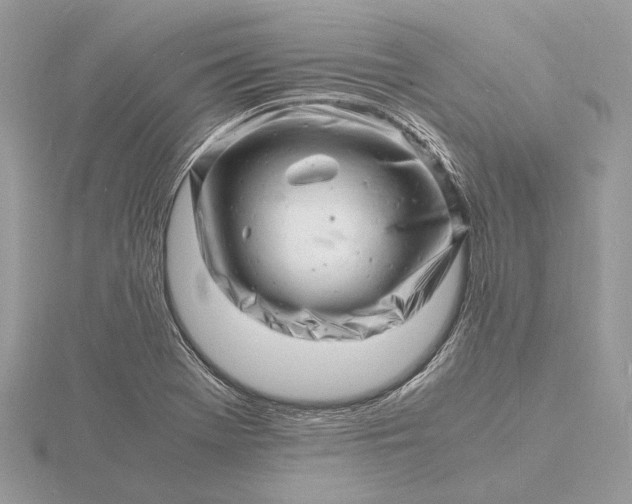 X0000116141369200912071234