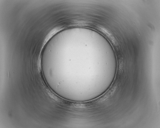 X0000116141370200912071234