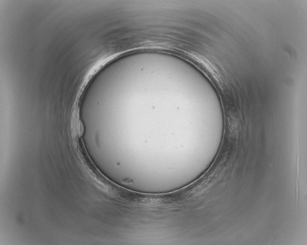 X0000116141371200912071234