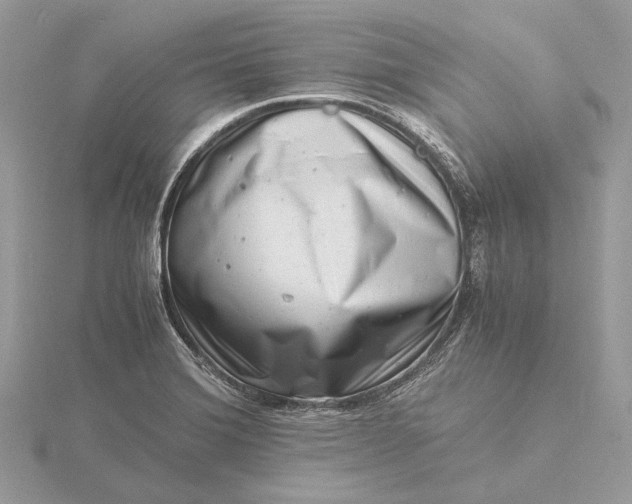 X0000116141372200912071234