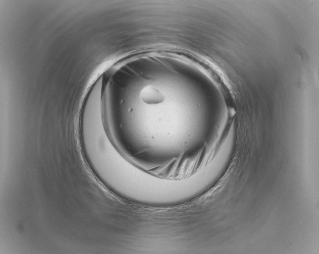 X0000116141373200912071234