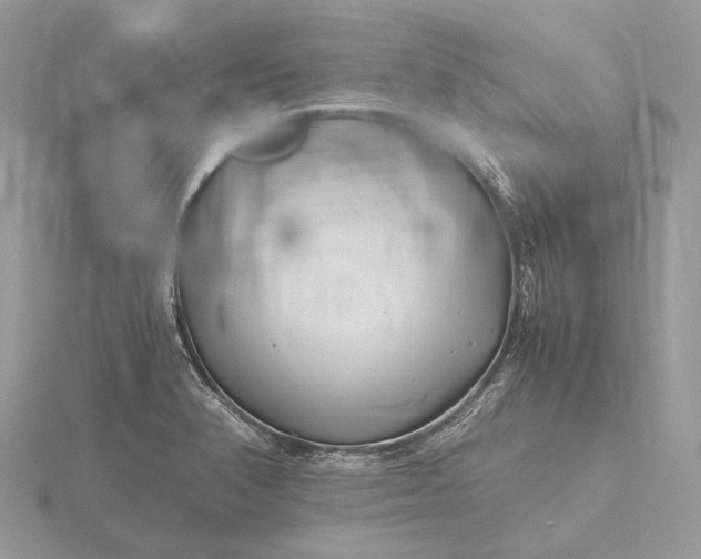 X0000116141374200912071234