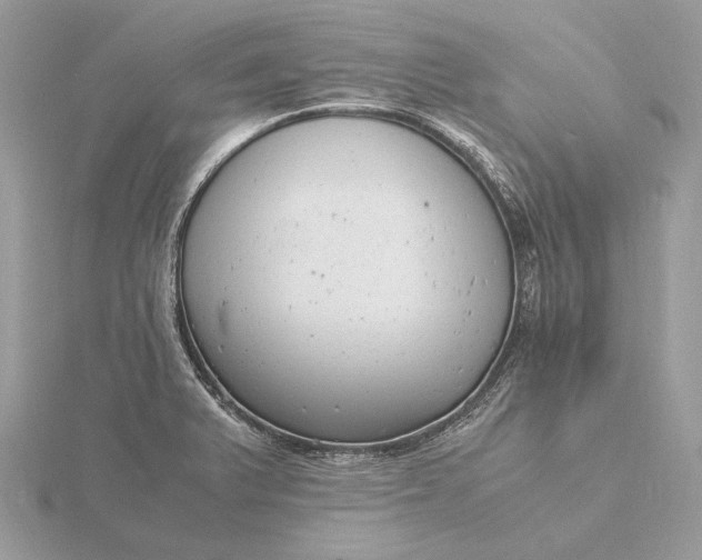 X0000116141375200912071234